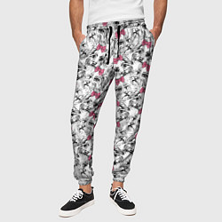 Брюки на резинке мужские Мальтийская Болонка Мальтезе, цвет: 3D-принт — фото 2