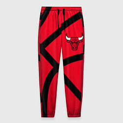 Мужские брюки Чикаго Буллз Chicago Bulls NBA