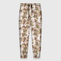 Мужские брюки Купюры 100 рублей