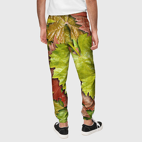 Мужские брюки Осенние листья клёна - паттерн / 3D-принт – фото 4
