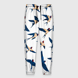 Мужские брюки Ласточки парят в небе