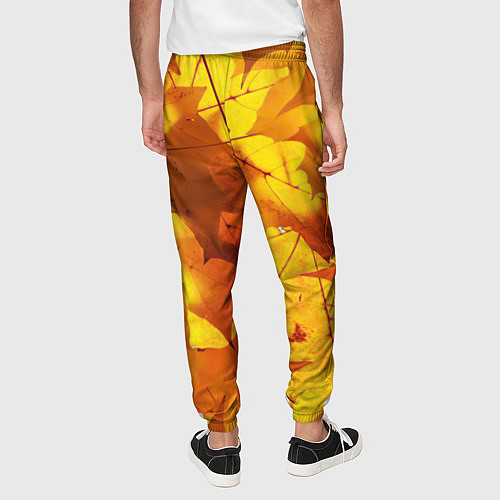 Мужские брюки Осенние золотые листья / 3D-принт – фото 4