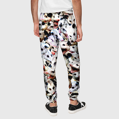 Мужские брюки Опоссумы / 3D-принт – фото 4