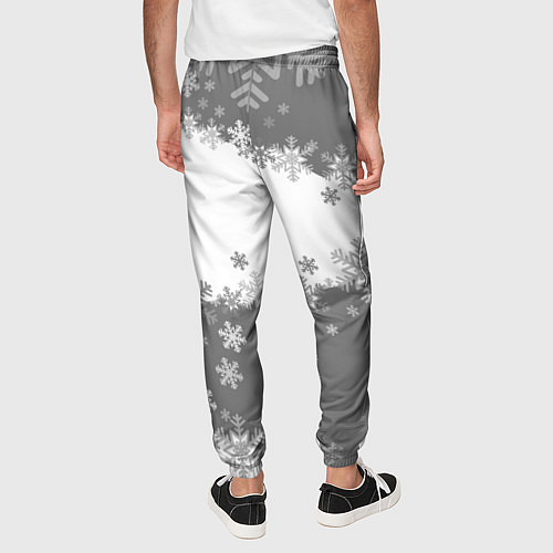 Мужские брюки Сноуборд серый / 3D-принт – фото 4
