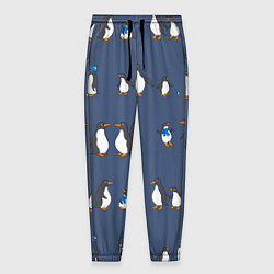 Мужские брюки Забавное семейство пингвинов