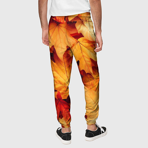 Мужские брюки Осенние кленовые листья / 3D-принт – фото 4