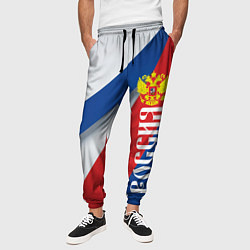 Брюки на резинке мужские Цвета флага России и герб, цвет: 3D-принт — фото 2