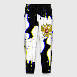 Мужские брюки Россия герб глитч