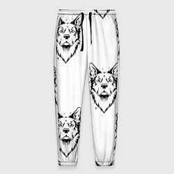 Мужские брюки Голова собаки