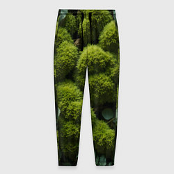Мужские брюки Зеленый мох и листья