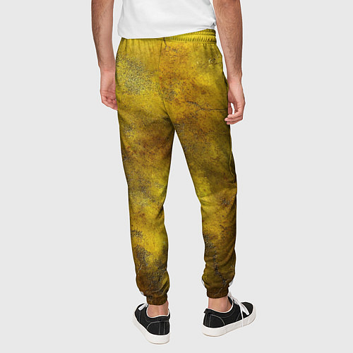 Мужские брюки Золотая ржавая текстура / 3D-принт – фото 4