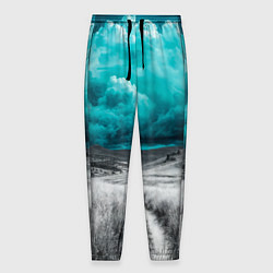 Брюки на резинке мужские Монохромное поле и сине-зеленое небо - природный п, цвет: 3D-принт