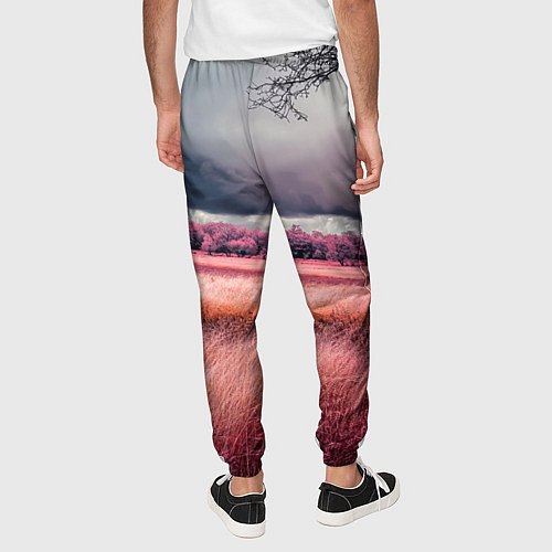 Мужские брюки Поле и деревья пейзаж - инфракрасный стиль / 3D-принт – фото 4