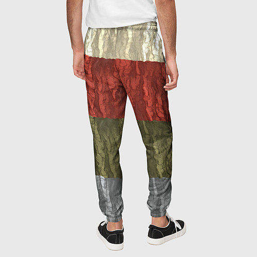Мужские брюки Цветной узор абстрактная графика / 3D-принт – фото 4