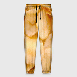 Мужские брюки Чипсы текстура