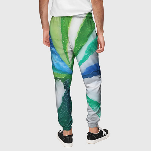 Мужские брюки Радуга цветов мальдивских островов / 3D-принт – фото 4