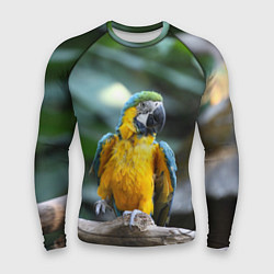 Рашгард мужской Красавец попугай, цвет: 3D-принт