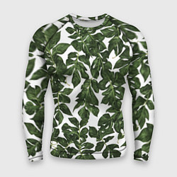 Рашгард мужской Зеленые листочки на белом фоне, цвет: 3D-принт