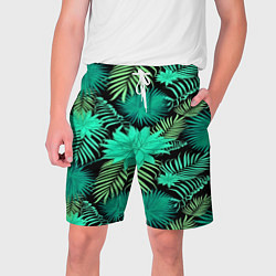 Мужские шорты Tropical pattern