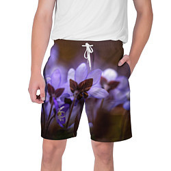 Шорты на шнурке мужские Хрупкий цветок фиалка, цвет: 3D-принт