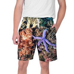 Мужские шорты Коралловый риф