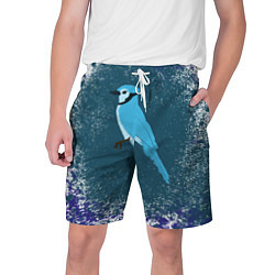 Шорты на шнурке мужские Голубая сойка, цвет: 3D-принт