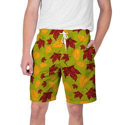 Шорты на шнурке мужские Осенние листья клён и дуб, цвет: 3D-принт