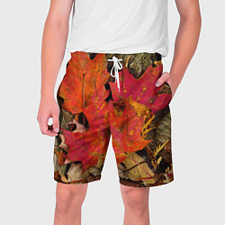 Шорты на шнурке мужские Листопадкленовые листья, цвет: 3D-принт