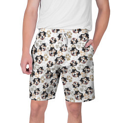 Шорты на шнурке мужские Собака Австралийская Овчарка, цвет: 3D-принт