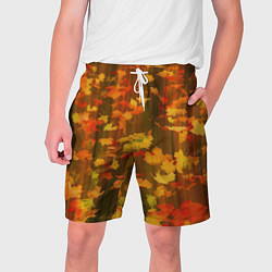 Мужские шорты Осеннее золото