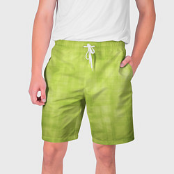 Шорты на шнурке мужские Green and square, цвет: 3D-принт