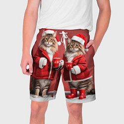Шорты на шнурке мужские С новым котом - два кота в костюмах Санты, цвет: 3D-принт