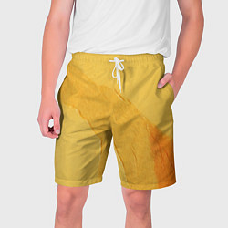 Шорты на шнурке мужские Желтая краска, цвет: 3D-принт