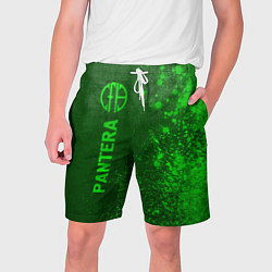 Шорты на шнурке мужские Pantera - green gradient по-вертикали, цвет: 3D-принт