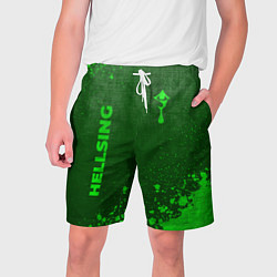 Шорты на шнурке мужские Hellsing - green gradient вертикально, цвет: 3D-принт