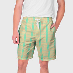 Мужские шорты Color beige cage blue stripes