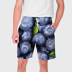 Шорты на шнурке мужские Черника, цвет: 3D-принт