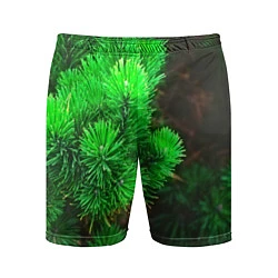 Шорты спортивные мужские Зелёная ель, цвет: 3D-принт