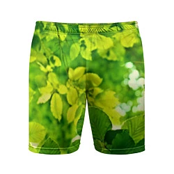 Шорты спортивные мужские Зелёные листья, цвет: 3D-принт