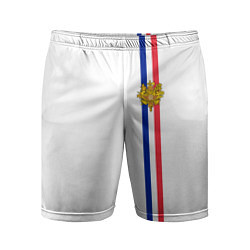 Шорты спортивные мужские Франция: лента с гербом цвета 3D-принт — фото 1