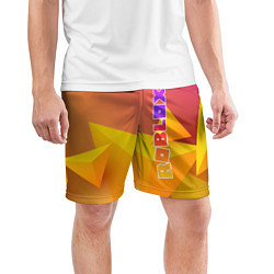 Шорты спортивные мужские Roblox, цвет: 3D-принт — фото 2