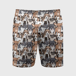 Шорты спортивные мужские Щенки Разных Пород, цвет: 3D-принт