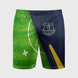 Шорты спортивные мужские Everton football field, цвет: 3D-принт