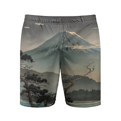 Мужские спортивные шорты Великий вулкан Фудзияма