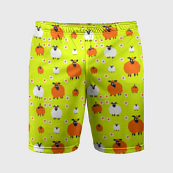 Мужские спортивные шорты Стадо овец в поле
