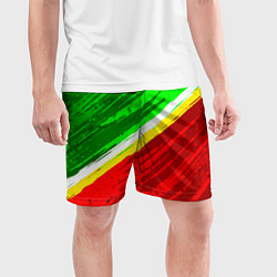 Шорты спортивные мужские Расцветка Зеленоградского флага, цвет: 3D-принт — фото 2