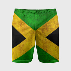 Шорты спортивные мужские Jamaica flag, цвет: 3D-принт