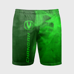 Шорты спортивные мужские Changan - green gradient по-вертикали, цвет: 3D-принт