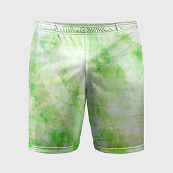 Мужские спортивные шорты Абстракция - light green atom