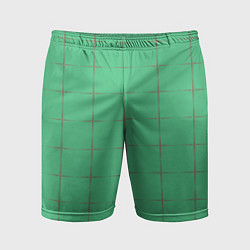 Мужские спортивные шорты Color green stripes